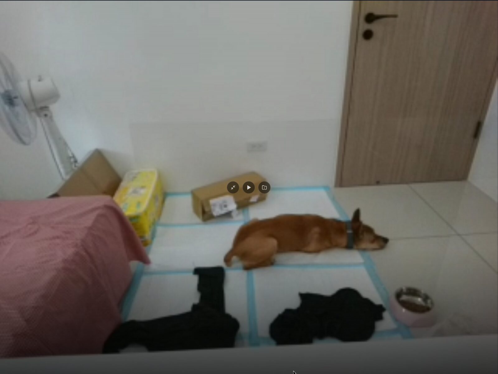 志強趴在隔離房地面休息的監視器畫面