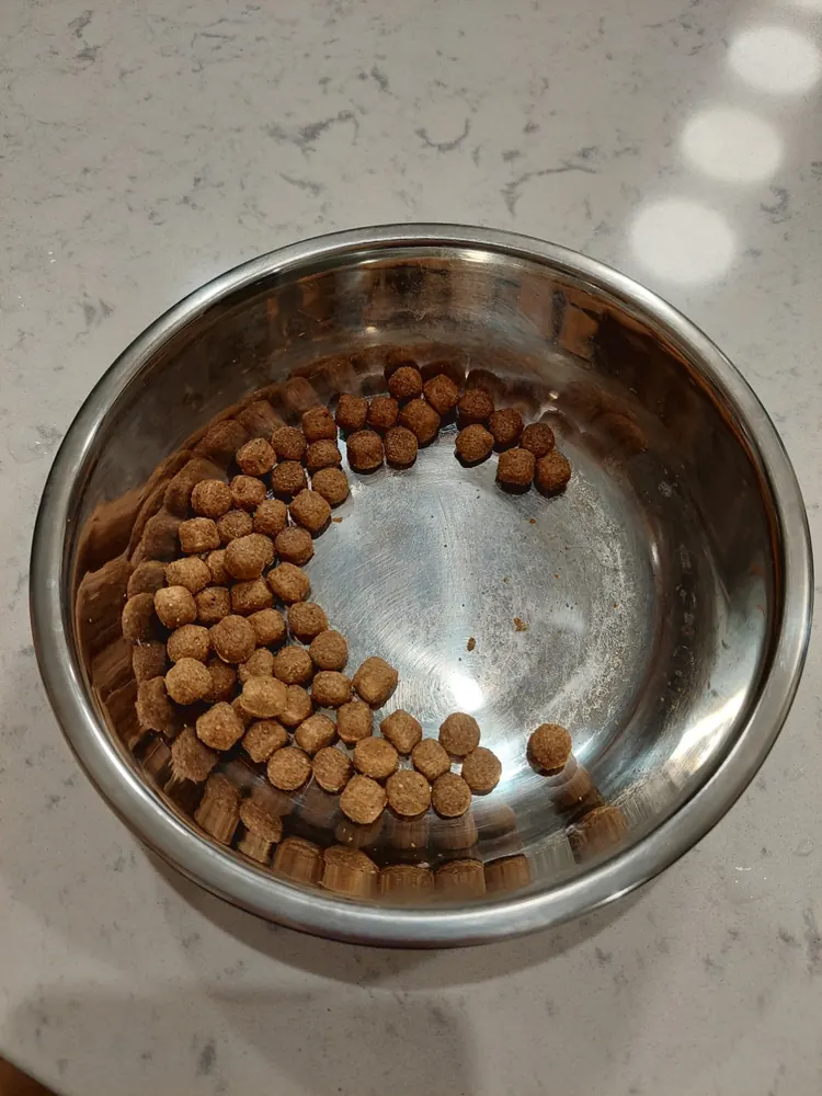 志強晚餐後剩下少量乾糧