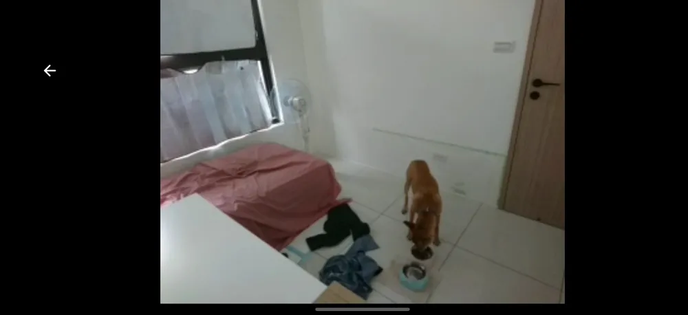 志強在隔離房內低頭吃早餐，旁邊可見水碗