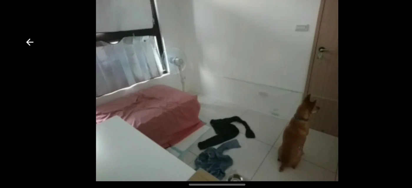 志強在安全房內坐下等待