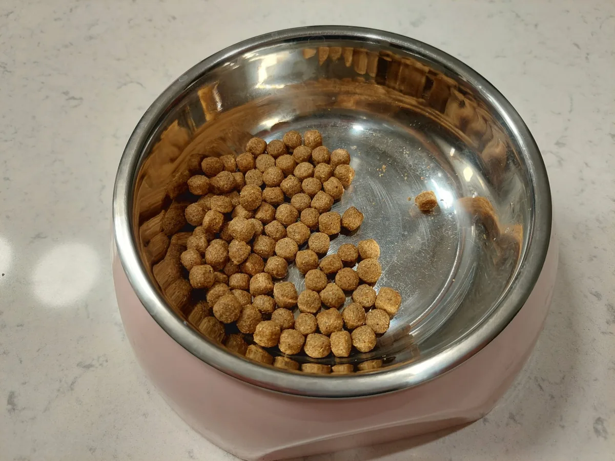 不鏽鋼碗內剩下約一半乾糧；志強在家中無人時曾自行進食
