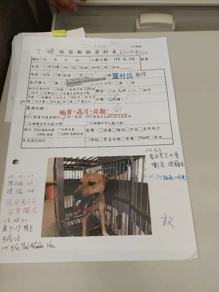 舊收容動物資料表，上方有志強當時在金屬籠內的照片。