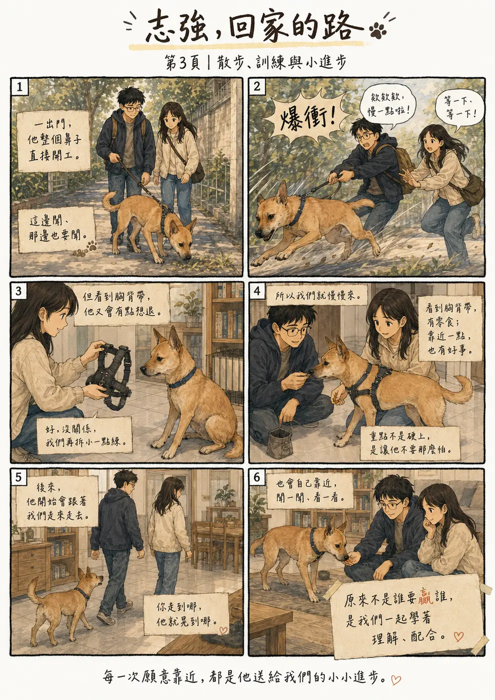 漫畫第 3 頁：志強散步時往前爆衝，也會對胸背帶退縮，我們把訓練拆小並陪牠逐步靠近。