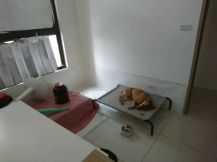 同一個靠牆配置下，志強後來轉成比較鬆的側躺，身體與四肢比前一張展開。