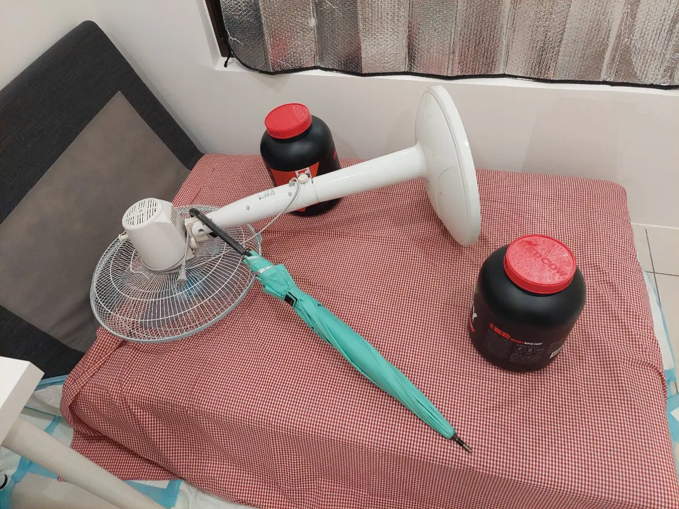我增加一個乳清桶後的貴妃椅阻擋配置；畫面可見風扇、雨傘和兩個乳清桶，但沒有拍到志強。